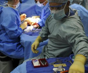 pexels-pixabay-263337